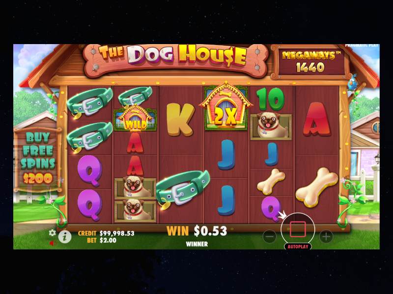 Características del juego Dog House Megaways Características del juego Dog House Megaways
