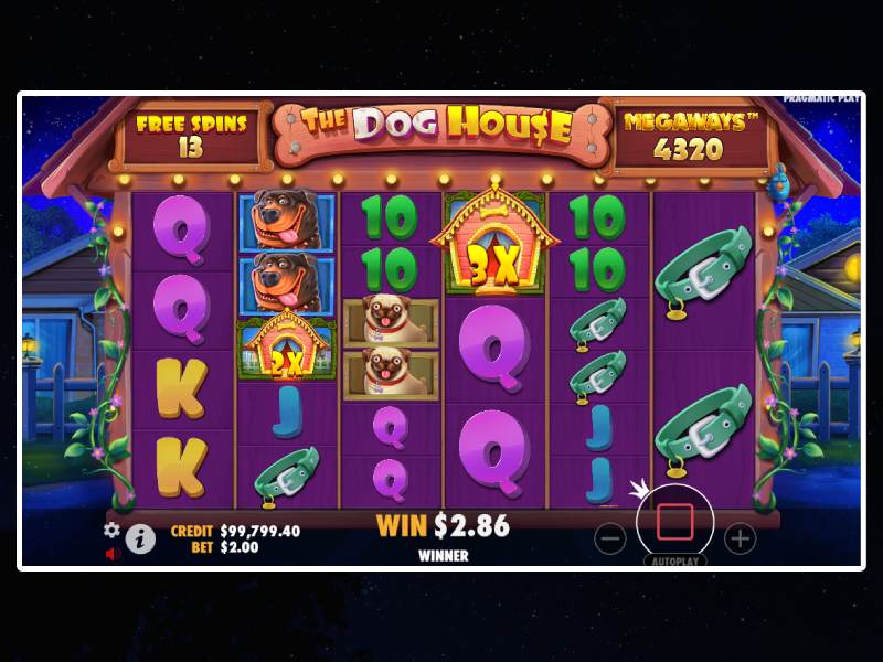 Tácticas y estrategias para la tragamonedas Dog House Megaways Tácticas y estrategias para la tragamonedas Dog House Megaways