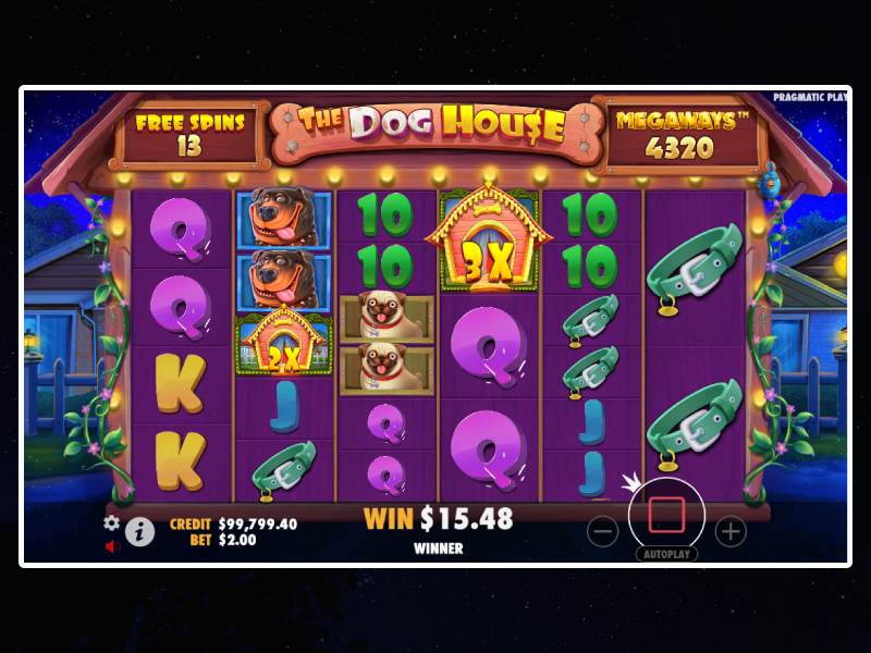 Reglas del juego Dog House Megaways Reglas del juego Dog House Megaways